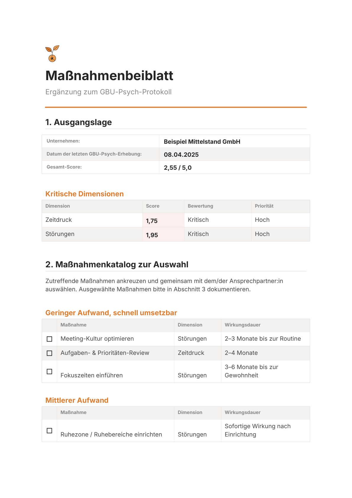Titelseite des Maßnahmenbeiblatts mit kritischen Dimensionen und Maßnahmenkatalog